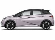 Ремонт BYD Dolphin (Долфин)