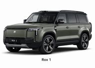 Ремонт Rox 1 (1)