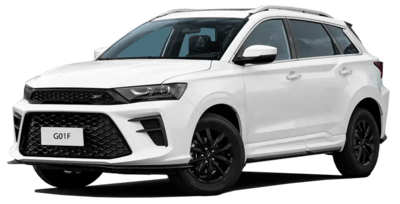 Ремонт SWM GO1F (ГО1Ф)